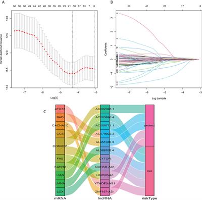 Identification of novel cuproptosis-related lncRNA signatures to predict the prognosis and immune microenvironment of breast cancer patients